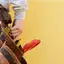 Handyman repair service in Akron, OH for home fixes and improvements